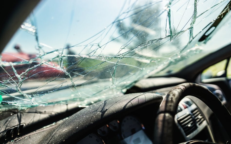 Mikołaj Małecki: Jaka kara za latające auto