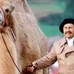 Czesio. Filmowy bohater, literacki koniec