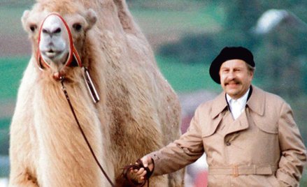 Czesio. Filmowy bohater, literacki koniec