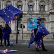 Wielka Brytania: Przygotowania do twardego brexitu. Rząd wzywa rezerwistów