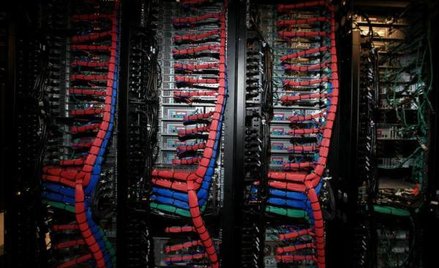 Polskie przedsiębiorstwa inwestują w rozwiązania z zakresu internetu rzeczy.