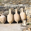 Polka bada amfory, które w starożytności służyły do transportu wina