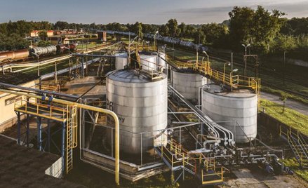 Polwax ma zmienioną strukturę przychodów
