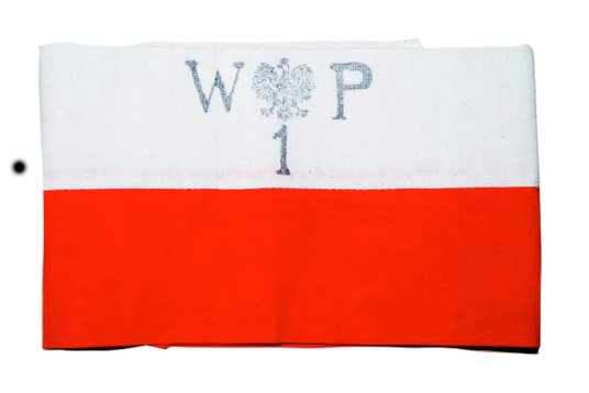 „Do walki przystąpiliśmy z biało-czerwonymi opaskami z literami W.P., Wojsko Polskie, a nie Armia Kr