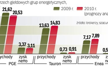 Zdaniem analityków zyski największej w branży PGE skurczyły sie w porównaniu z 2009 r. Lepiej wypadł