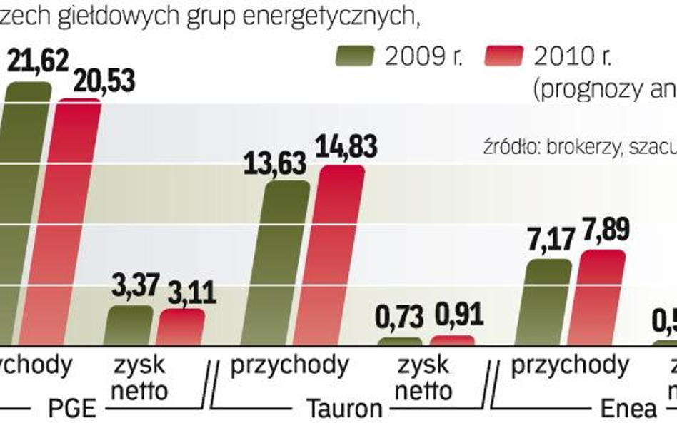 Zdaniem analityków zyski największej w branży PGE skurczyły sie w porównaniu z 2009 r. Lepiej wypadł