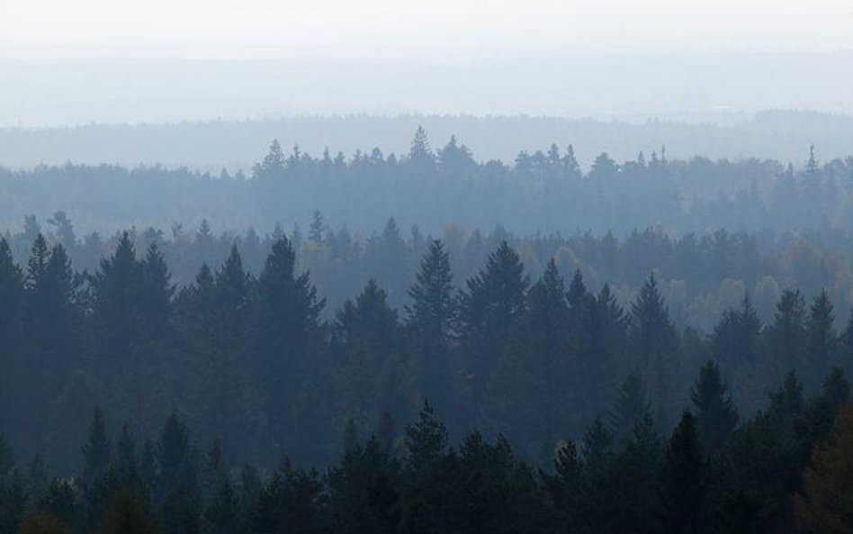 Biopaliwo z drewna da Ukraina gaz tańszy o połowę - wynika z wyliczeń resortu polityki rolnej.