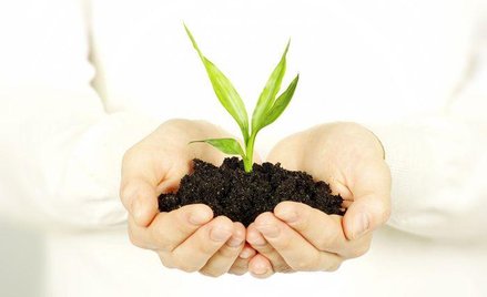 WSA: Nie można zmuszać do proekologicznych zachowań