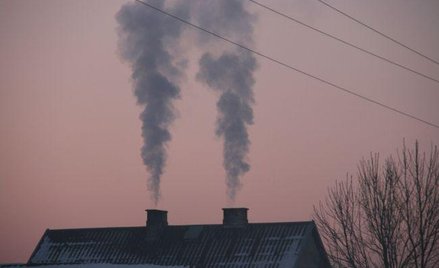 W sezonie grzewczym nawet w dużych miastach plastikowe opakowania czy opony samochodowe lądują w pie