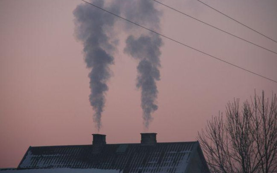 W sezonie grzewczym nawet w dużych miastach plastikowe opakowania czy opony samochodowe lądują w pie