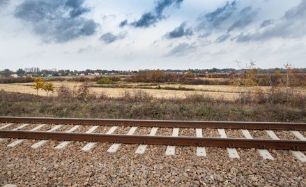 Spółki giełdowe z szansą na kontrakt na budowę pierwszego odcinka Kolei Dużych Prędkości