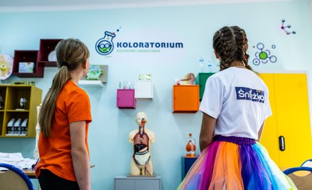 Śnieżka: Popyt na farby słabnie