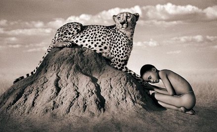 Zdjęcie pochodzi ze strony internetowej https://gregorycolbert.com i przedstawia jedno ze zdjęć wyst