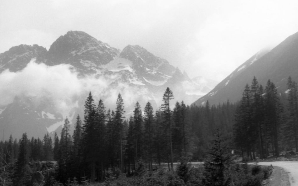 Tatry, maj 1963, fot. R. Ingarden