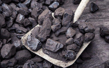 Kopalnie zarabiały średnio 65,79 zł na tonie węgla