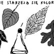 Rysuje Janusz Kapusta