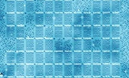 Tak wygląda fragment wykładu Richarda Feynmana zapisany atomami chloru / TU Delft/Ottelab