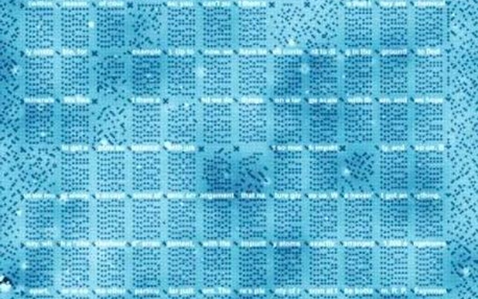 Tak wygląda fragment wykładu Richarda Feynmana zapisany atomami chloru / TU Delft/Ottelab