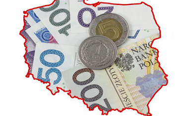 Dokumentacja cen transferowych: przy ustalaniu dochodowości liczy się tylko polski zakład
