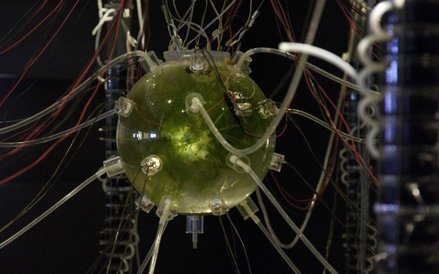 Dzieło Gilberta Esparzy