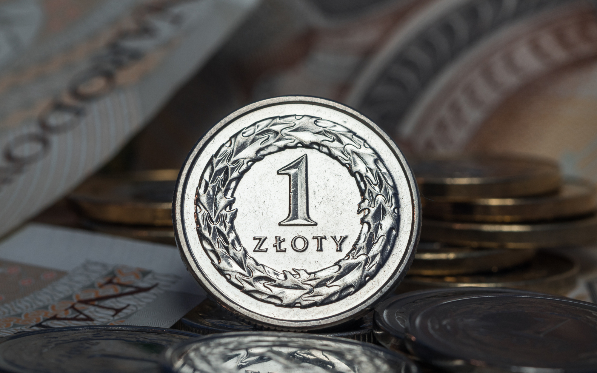 Złoty próbuje walczy z trudnym otoczeniem
