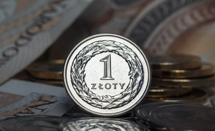 Złoty nie zamierza się cofać