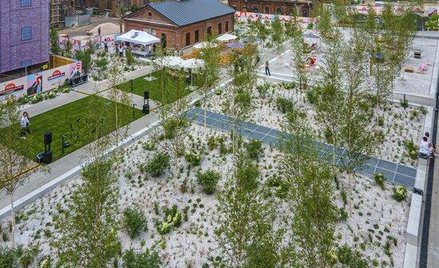 Łódzka Fuzja: Ogrody Anny przed zabytkową elektrownią Scheiblera