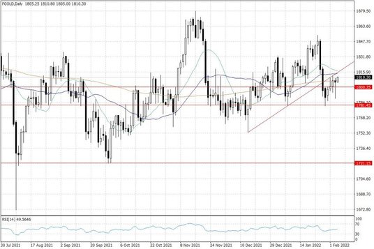 Notowania złota – dane dzienne