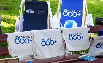 Materiały promocyjne w czasie jednego z pikiników rodzinnych promujących program 800+
