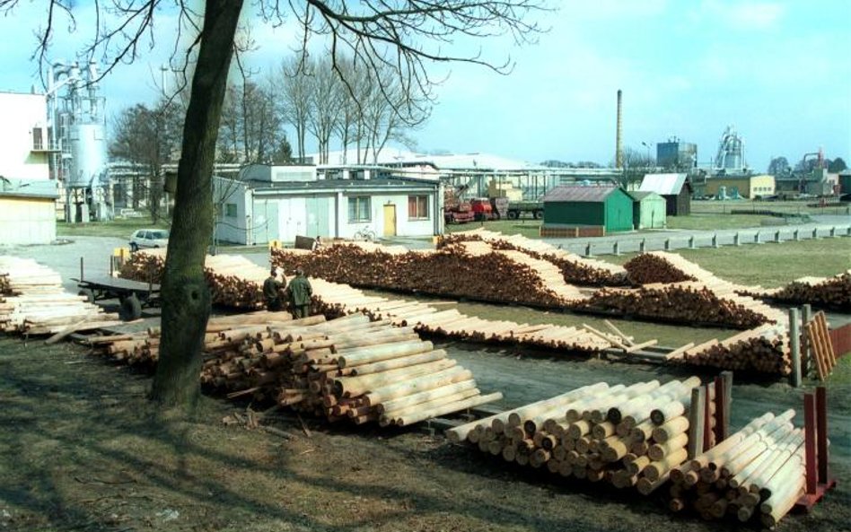 Paged-Sklejka ma wyłączność na negocjacje w sprawie kupna Sklejki-Pisz