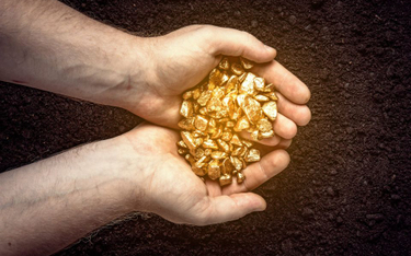W TFI rośnie oferta funduszy złota