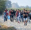 Ponad 100 projektów pomocy imigrantom