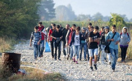 Ponad 100 projektów pomocy imigrantom