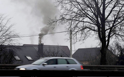 Miasta na Mazowszu już od kilku lat wydają pieniądze na walkę ze smogiem.