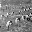 Tak wyglądały groby żołnierzy niemieckich i austro-węgierskich z I wojny światowej na Cmentarzu Pową
