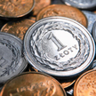 Analitycy Pekao: Złoty pozostanie słaby