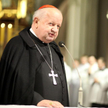 Polski episkopat Franciszka