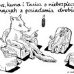 Komentarz rysunkowy. Niebezpieczeństwa posiadania drobiu