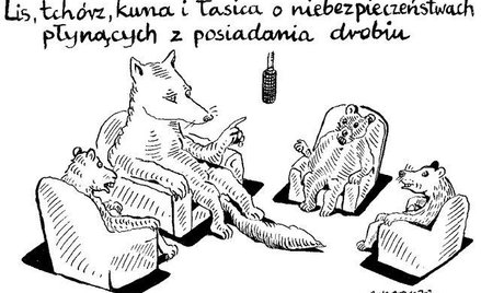 Komentarz rysunkowy. Niebezpieczeństwa posiadania drobiu