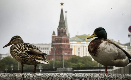 Kreml na wojnie z zachodnią prasą