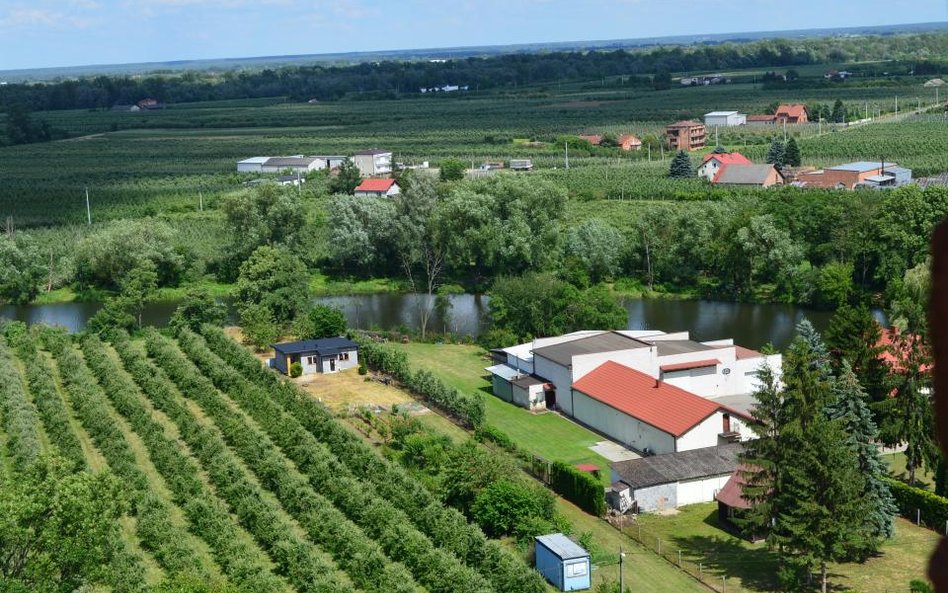 Sąd: jest ulga na zakup siedliska.