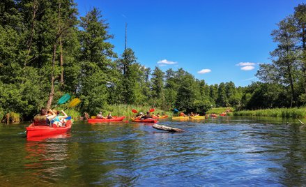 Wycieczka ze starostwa bez podatkowych obowiązków