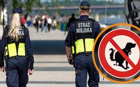Urząd Miasta zlecił strażnikom miejskim surowsze karania właścicieli psów, którzy nie sprzątają po s