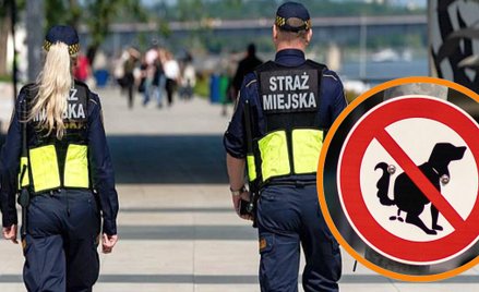 Urząd Miasta zlecił strażnikom miejskim surowsze karania właścicieli psów, którzy nie sprzątają po s