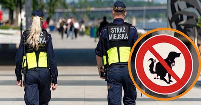 Urząd Miasta zlecił strażnikom miejskim surowsze karania właścicieli psów, którzy nie sprzątają po s