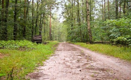 Porządkowanie stanu prawnego łąk i pastwisk