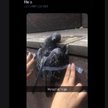 Uczniowie z Warszawy znęcali się nad gołębiem. Nagrali film
