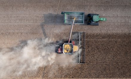Żniwa soi na farmie w pobliżu Shelby w stanie Mississippi w USA
