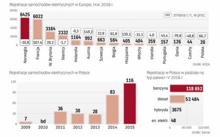 Sprzedaż aut elektrycznych za granicą rośnie dzięki rządowym dopłatom