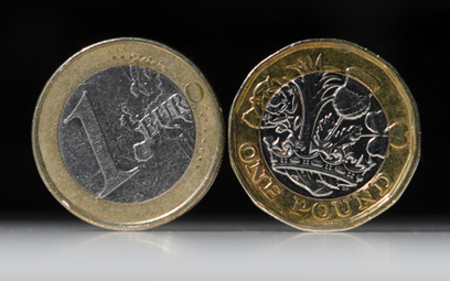 Euro i funt pod wpływem polityki